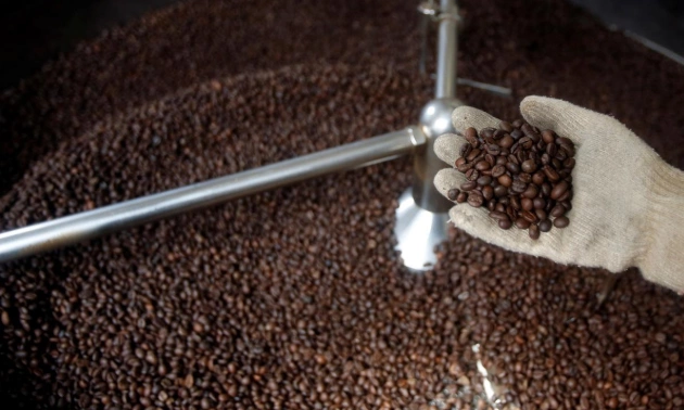 Coffee exports up 61% for 2025