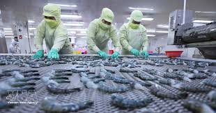 Seafood exports up 8% in Q1
