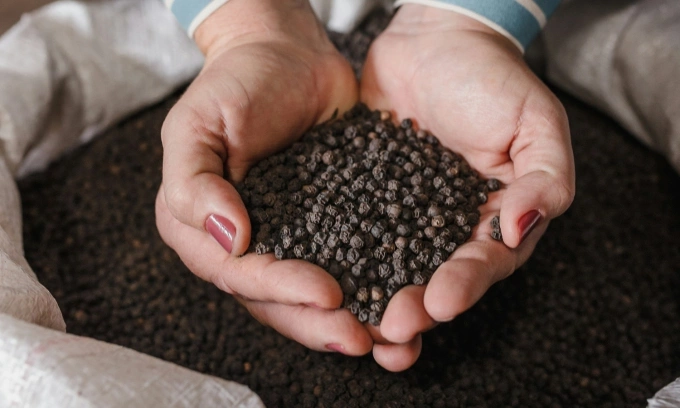 Pepper exports soar 31% in Q1 despite supply, shipping challenges