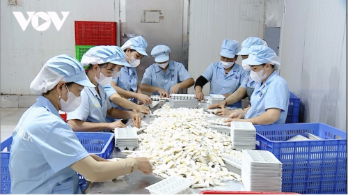 Private sector needs stronger policy support for sustainable growth