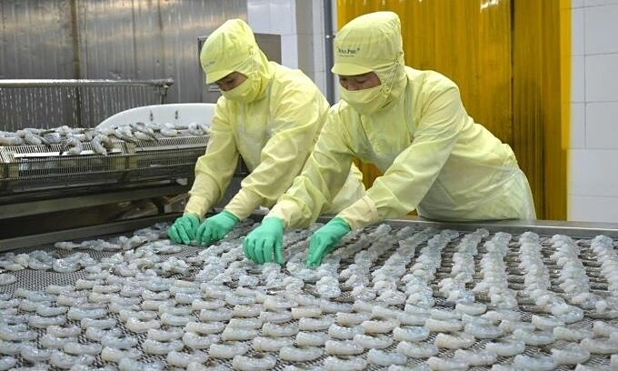 Seafood exports grow 8% in Q1