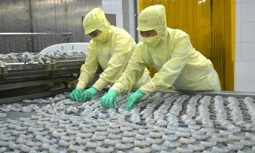 Seafood exports grow 8% in Q1