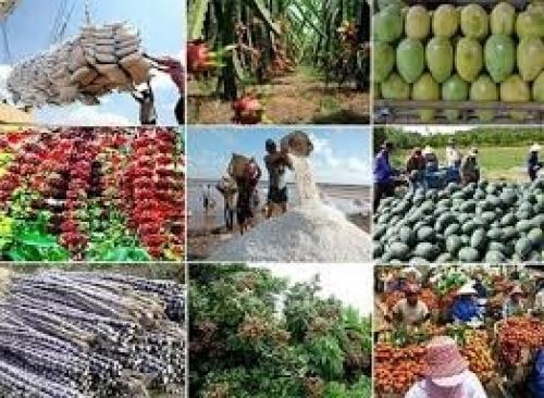 Vietnam seeks to boost agro-forestry-fishery exports beyond $74.2bln in 2026
