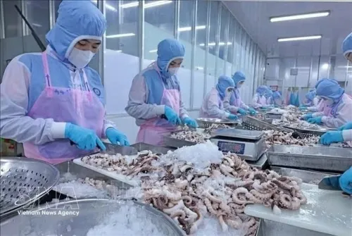 Vietnam’s aquatic product exports aim for US$12 billion target
