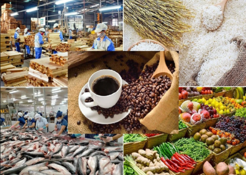 Agro-forestry-fishery imports top $22 bln in first five months, up 12.6%