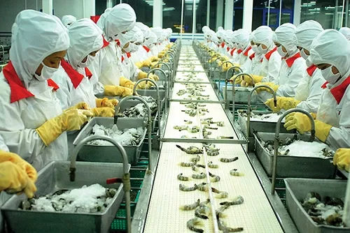 Vietnam-China trade exceeds US$122 bln in five months