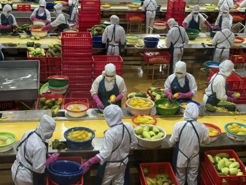 Vietnam's agro-forestry-fishery exports reach $35.9 billion in 1H