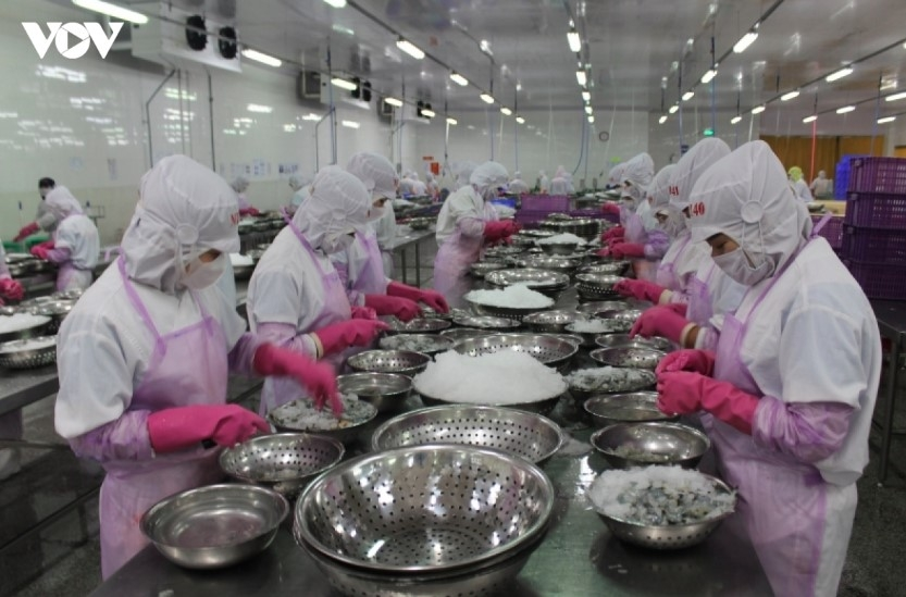 China overtakes US as top market for Vietnamese seafood exports