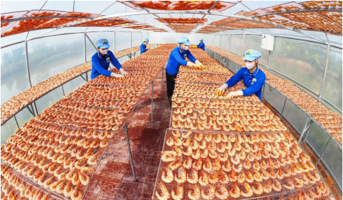 Vietnam's economy needs to shift from quantity to quality: ADB experts
