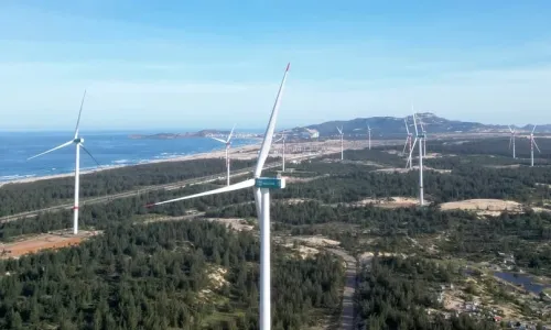 Renewable energy becomes new 'strategic piece' for major Vietnamese firms