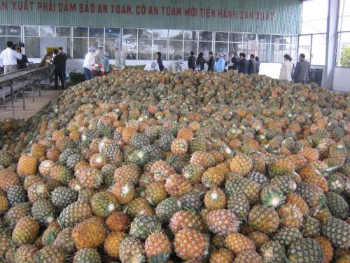 Fruits and seafood shine as Vietnam’s agro-exports hit $43 bln