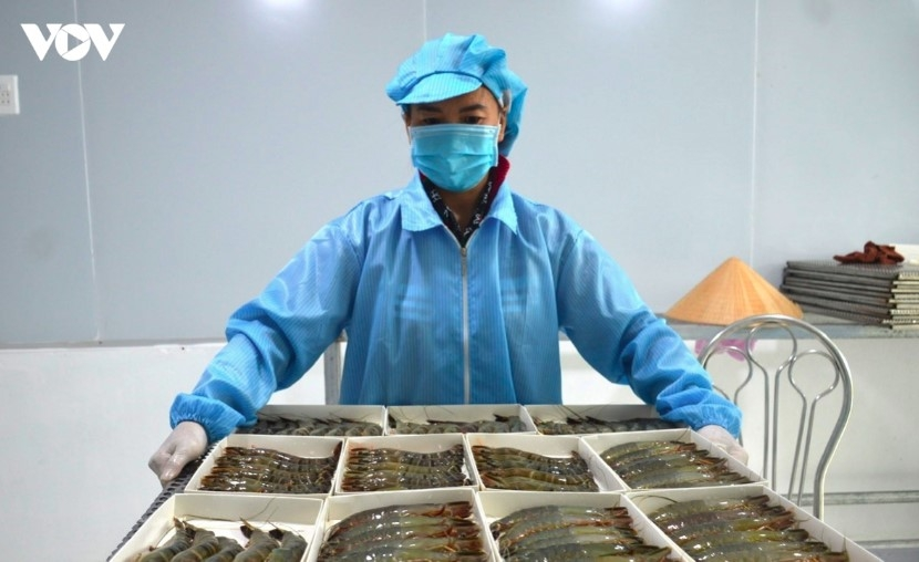 Seven-month shrimp exports hit US$2.8 billion amid rising year-end pressure