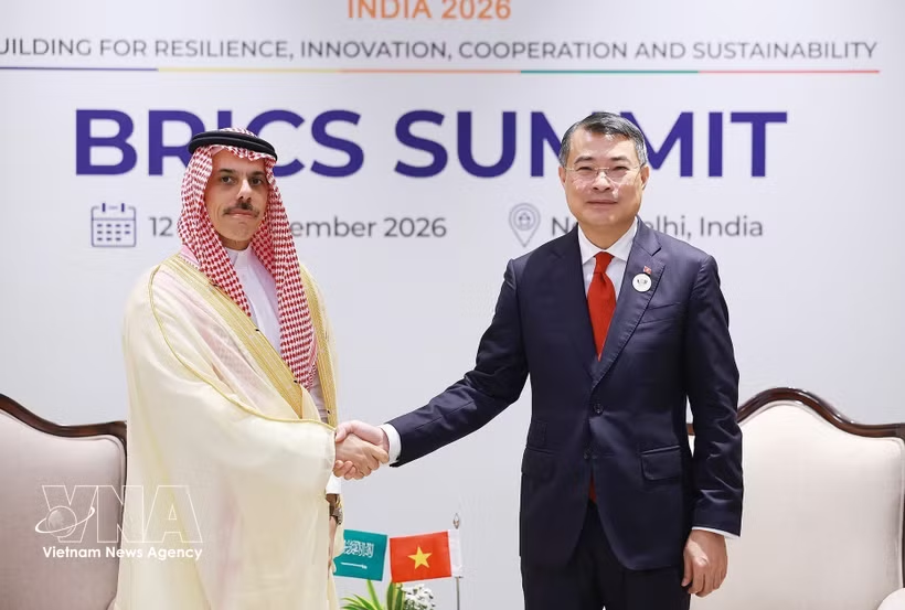 Vietnam seeks effective, substantive ties with Saudi Arabia