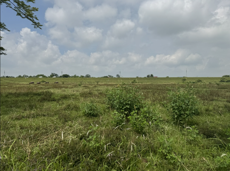 More than 3,400 stalled projects nationwide reported to have obstacles cleared