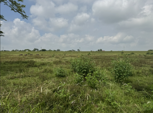 More than 3,400 stalled projects nationwide reported to have obstacles cleared