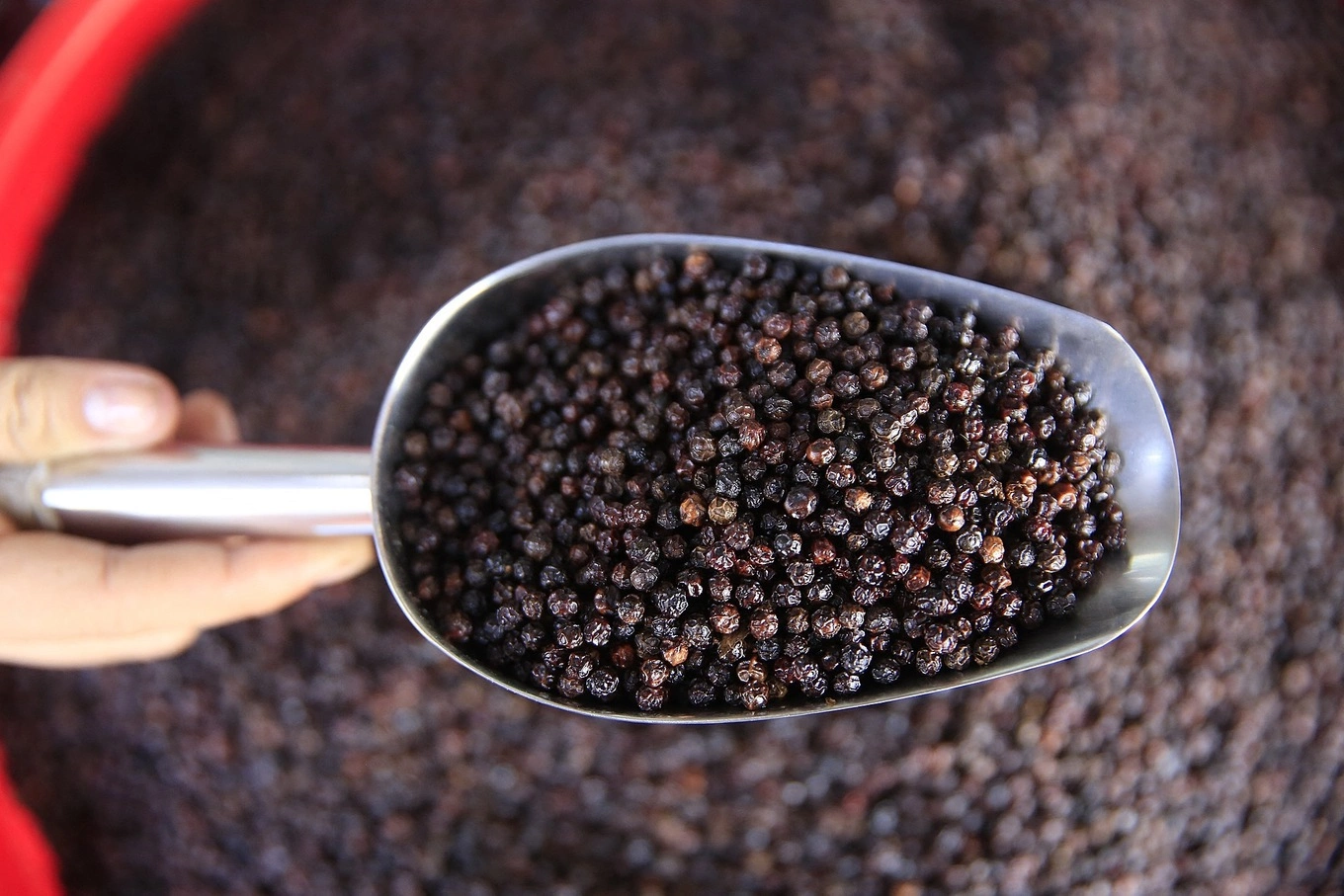 US hikes pepper imports from Vietnam, slashes purchases from elsewhere