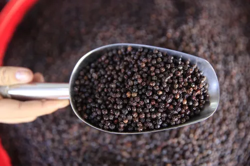 US hikes pepper imports from Vietnam, slashes purchases from elsewhere