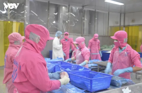 Pangasius exports to Middle East up 7%, led by Saudi Arabia