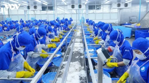 Da Nang targets 11% growth in 2026 as Quarter IV challenges mount
